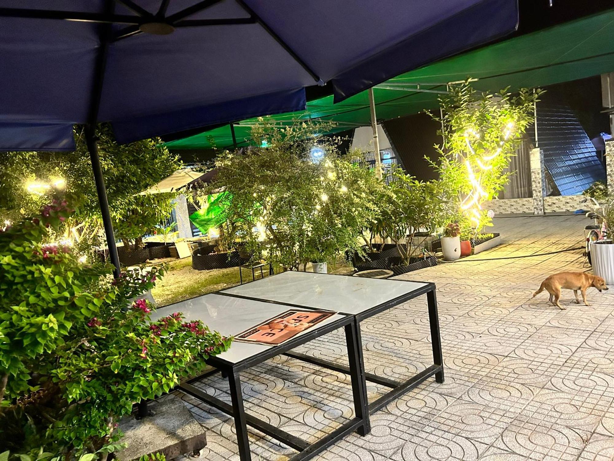 Homestay A Au Family Binh Chau Luaran gambar
